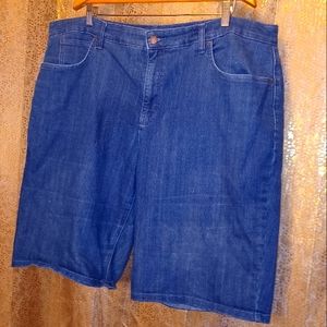 24W women's denim shorts. Light stretch. Good condition.